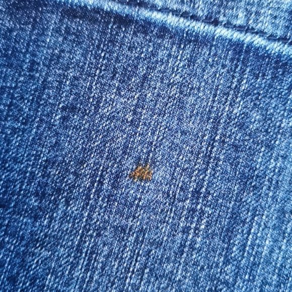 Vintage Y2K 90s Gasoline Bootcut Jeans 10 - Picture 7 of 7